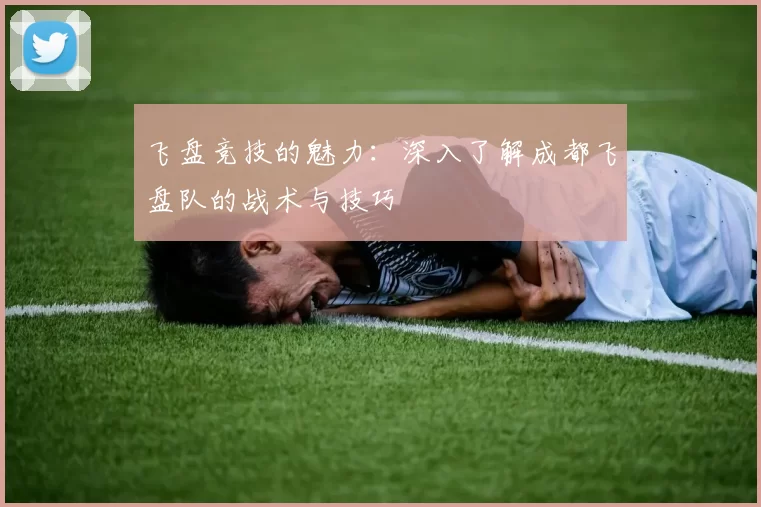 飞盘竞技的魅力：深入了解成都飞盘队的战术与技巧