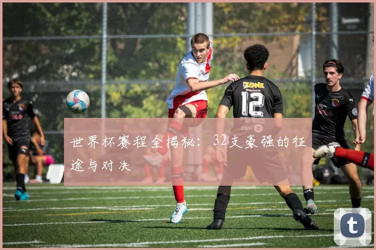 世界杯赛程全揭秘：32支豪强的征途与对决