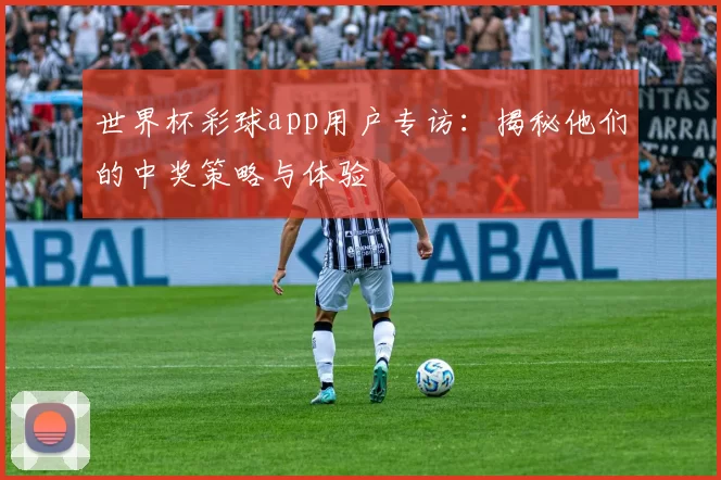 世界杯彩球app用户专访:揭秘他们的中奖策略与体验