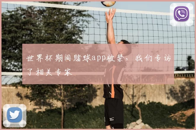 世界杯期间赌球app被禁，我们专访了相关专家