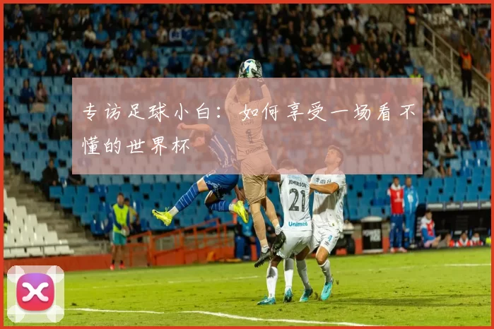 专访足球小白：如何享受一场看不懂的世界杯