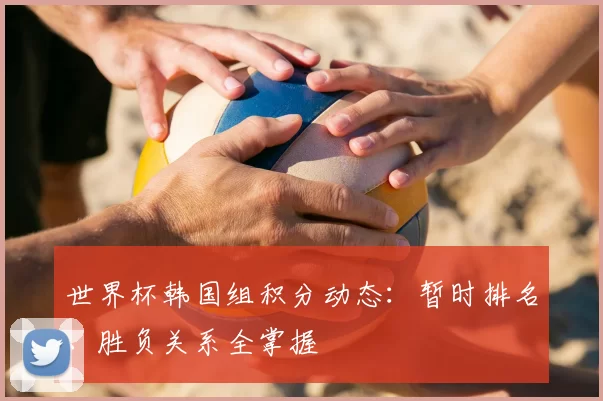 世界杯韩国组积分动态:暂时排名、胜负关系全掌握
