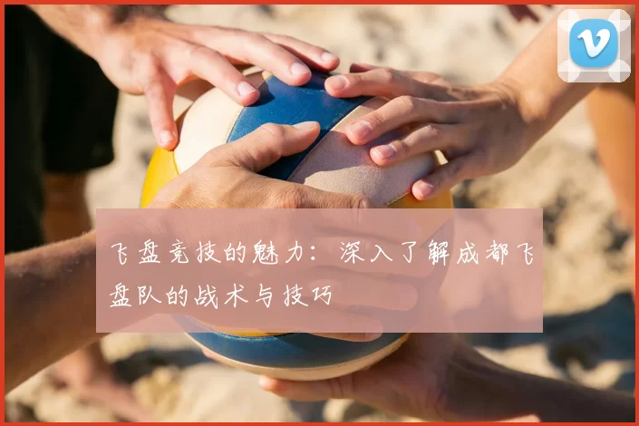 飞盘竞技的魅力：深入了解成都飞盘队的战术与技巧