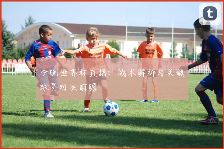 今晚世界杯直播：战术解析与关键球员对决前瞻