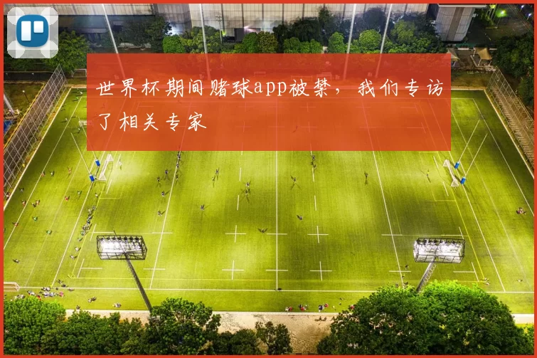 世界杯期间赌球app被禁，我们专访了相关专家