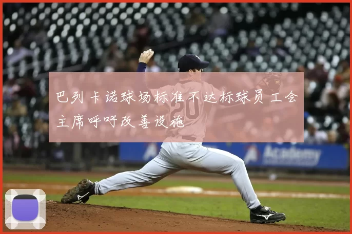 巴列卡诺球场标准不达标球员工会主席呼吁改善设施