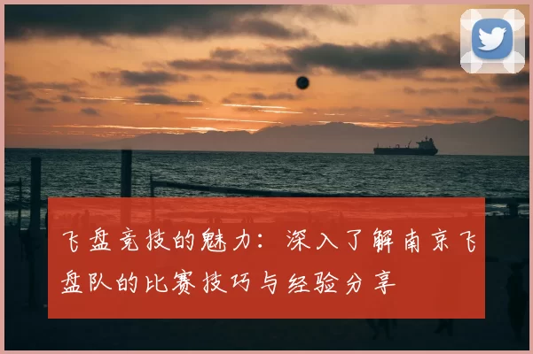 飞盘竞技的魅力:深入了解南京飞盘队的比赛技巧与经验分享