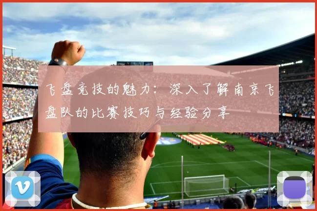 飞盘竞技的魅力：深入了解南京飞盘队的比赛技巧与经验分享